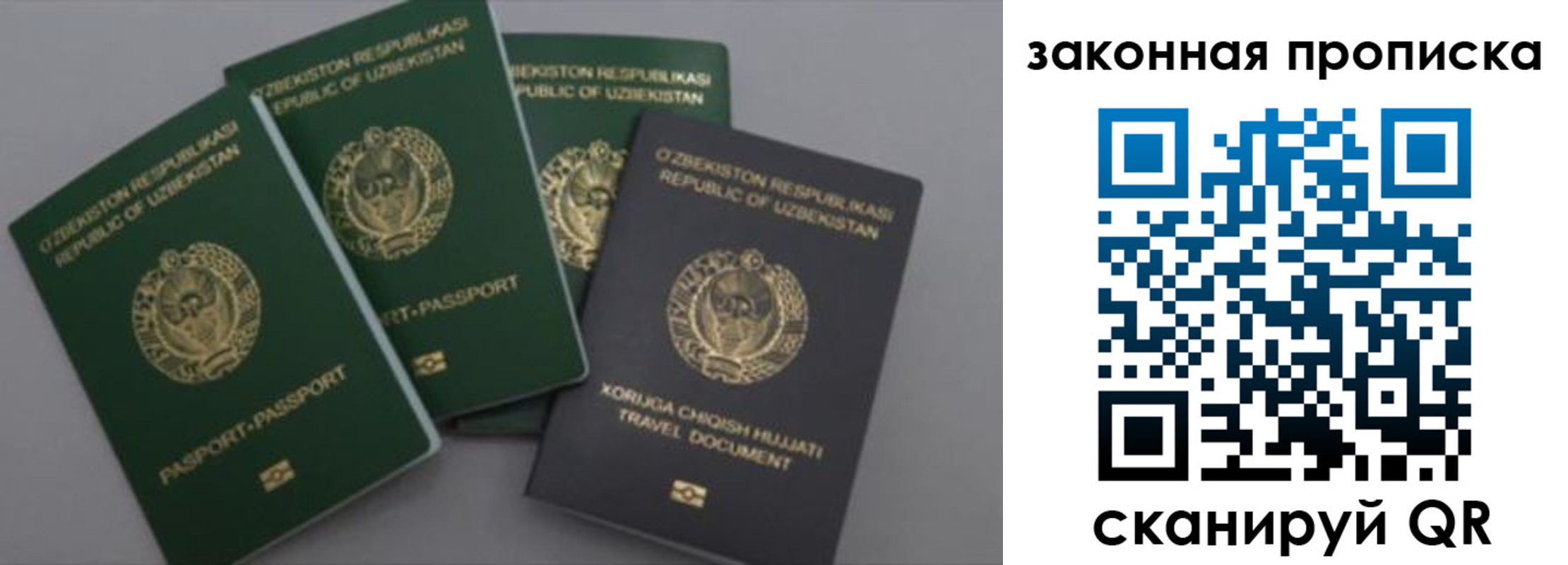 временная регистрация для школы в Оленегорске